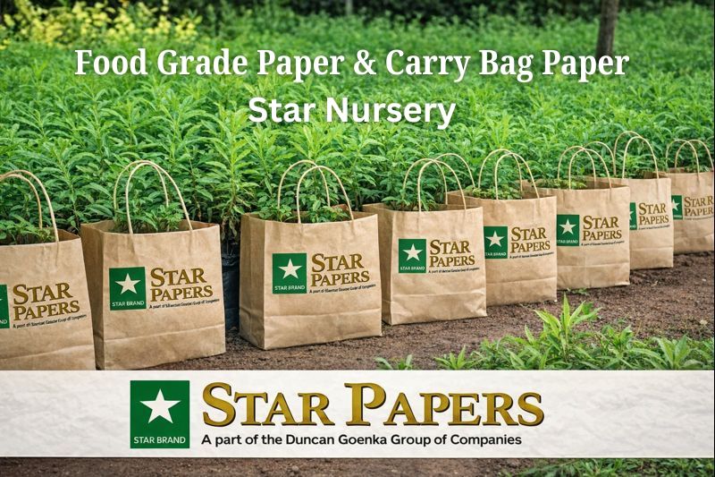 The Green Standard Why Star Nursery is Leading the Shift to Premium Paper results