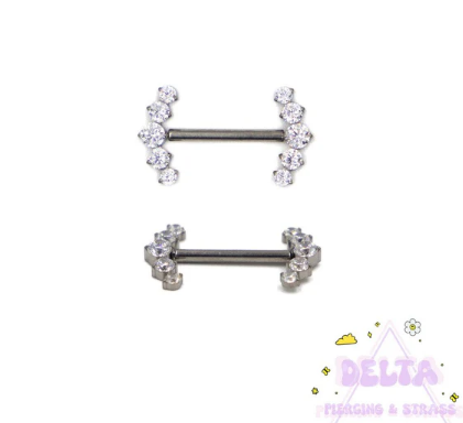 Bijoux Piercing Titane Haut de Gamme pour Tous Styles