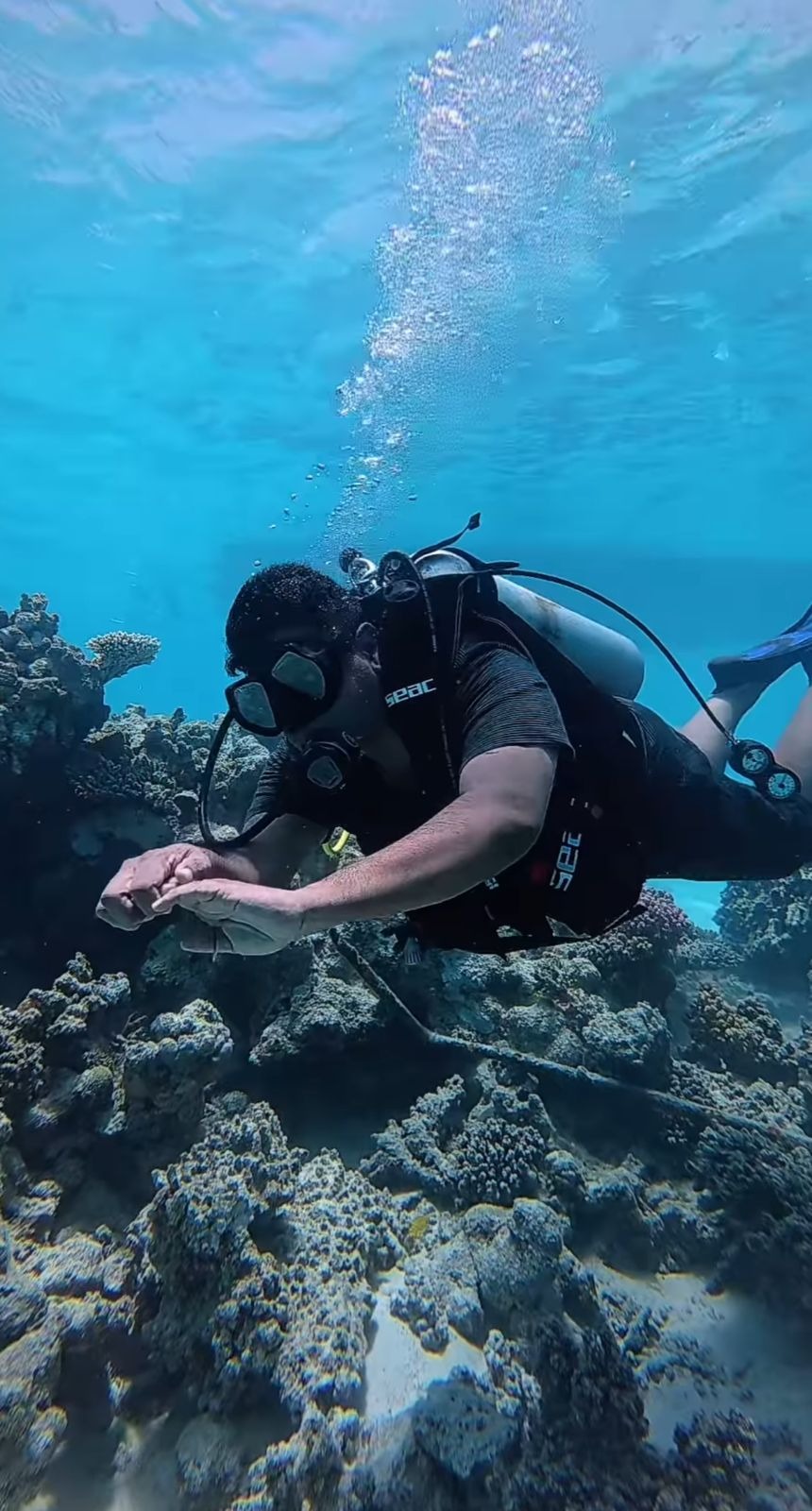 Best Time to Dive in Jeddah: Seasonal Guide for Snorkelers and Scuba Divers