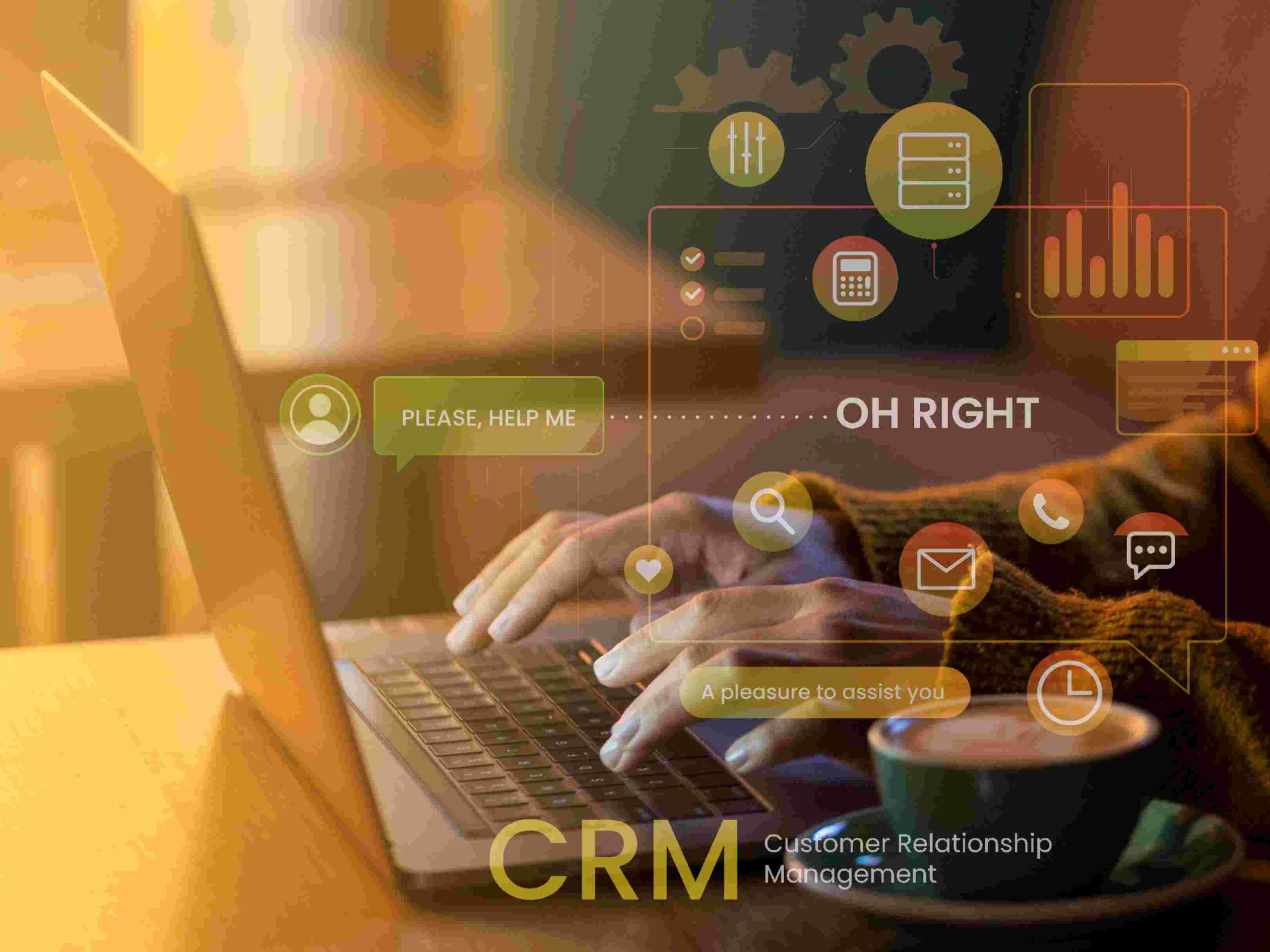 Powerful CRM & ERP Solutions for Modern Businesses