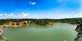 Best Nature Escapes Near Delhi: Exploring the Charm of Asola Bhatti Wildlife Sanctuary